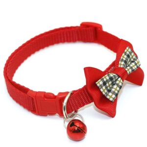 Pet Collar Belt