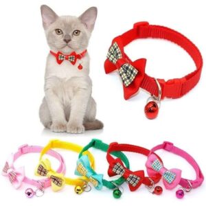 Pet Collar Belt Multi Color