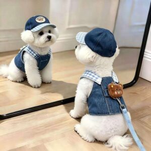Pet Tie Belt