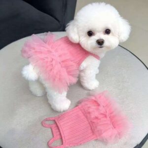 Pet Dress