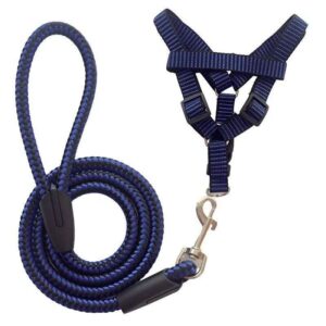 Pet Tie Belt