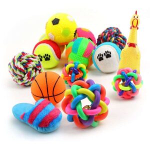 Pet Playing Toys